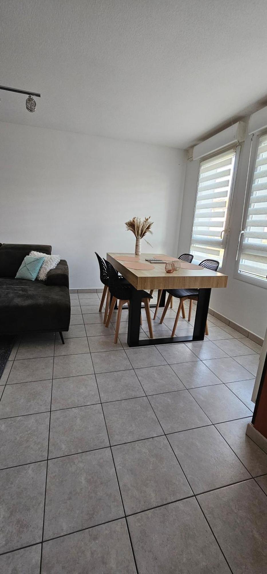 Le Cocon De Soie Superbe T3 A Vaulx En Velin Vaulx-en-Velin Exterior foto